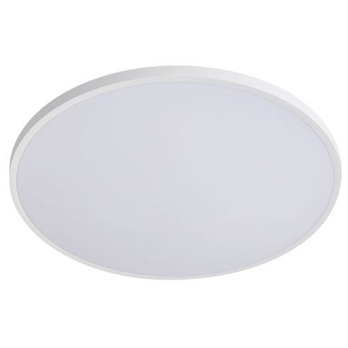 Настенно-потолочный светильник Lightstar Arco Eco 225750 изображение в интернет-магазине Cramer Light