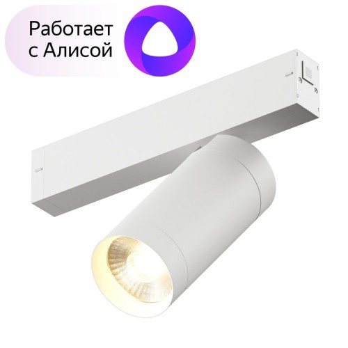 Трековый светильник Denkirs DK8020-WH изображение в интернет-магазине Cramer Light