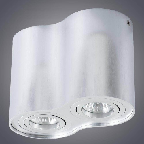 Потолочный светильник Arte Lamp A5644PL-2SI изображение в интернет-магазине Cramer Light фото 3