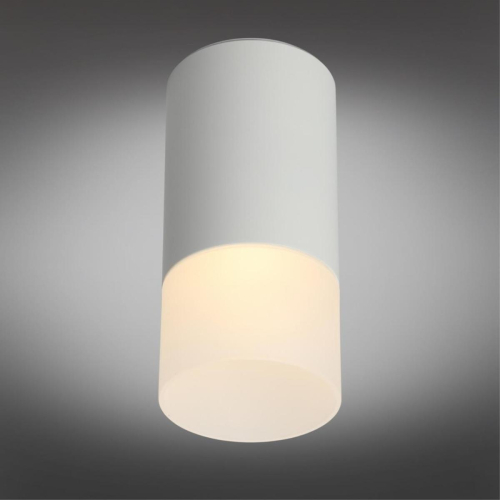 Потолочный светильник Omnilux Lucido OML-100609-01 изображение в интернет-магазине Cramer Light фото 3