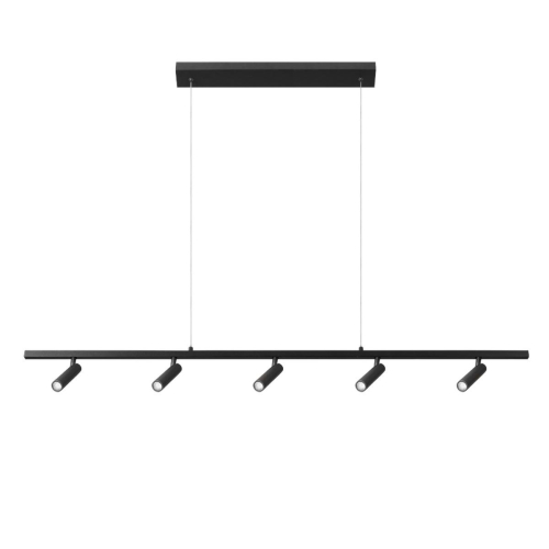 Подвесной светильник Loft IT Sign 10260/5 Black изображение в интернет-магазине Cramer Light