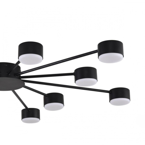 Потолочная люстра Lumion Comfi Torina 8344/12C изображение в интернет-магазине Cramer Light фото 6