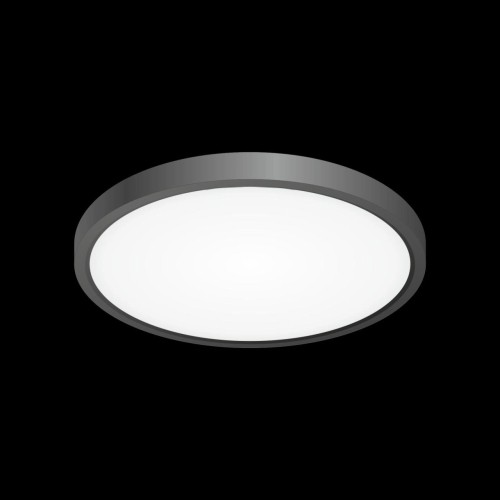 Накладной светильник Citilux CL738241V изображение в интернет-магазине Cramer Light фото 2