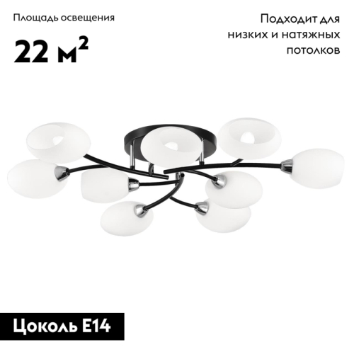 Потолочная люстра Citilux Флорида CL148195 изображение в интернет-магазине Cramer Light фото 2