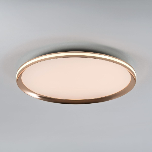 Потолочный светильник LED4U L3020-500 GD изображение в интернет-магазине Cramer Light фото 2