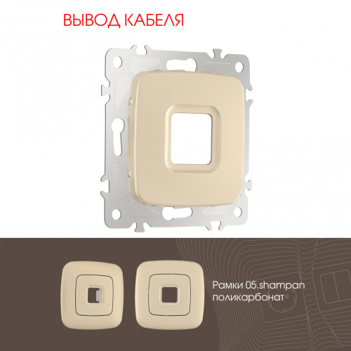 Вывод кабеля Arte Milano 205.49-1.shampan дополнительное фото