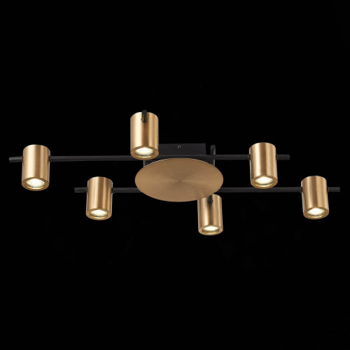 Потолочная люстра ST Luce Veroli SL1207.402.06 изображение в интернет-магазине Cramer Light фото 3