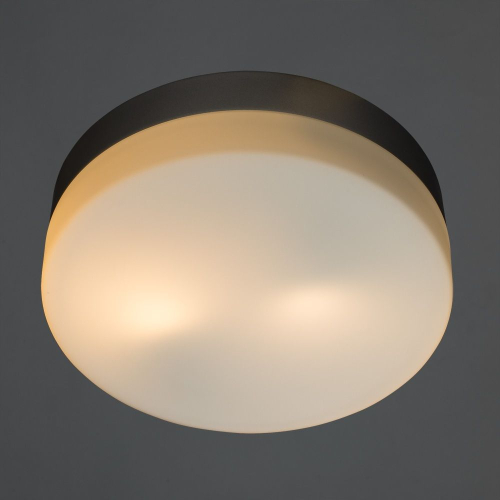 Потолочный светильник Arte Lamp Shirp A3211PL-2SI изображение в интернет-магазине Cramer Light фото 2