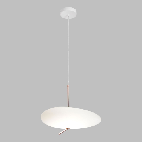 Подвесной светильник Lussole LSP-7528 изображение в интернет-магазине Cramer Light