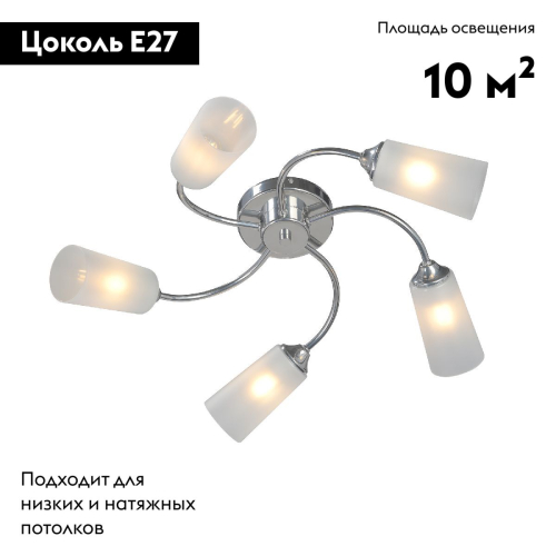 Потолочная люстра Vitaluce V2831-9/5PL изображение в интернет-магазине Cramer Light фото 2