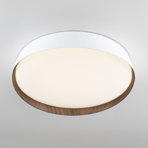 Потолочный светильник Citilux Bonny CL754350G изображение в интернет-магазине Cramer Light фото 4