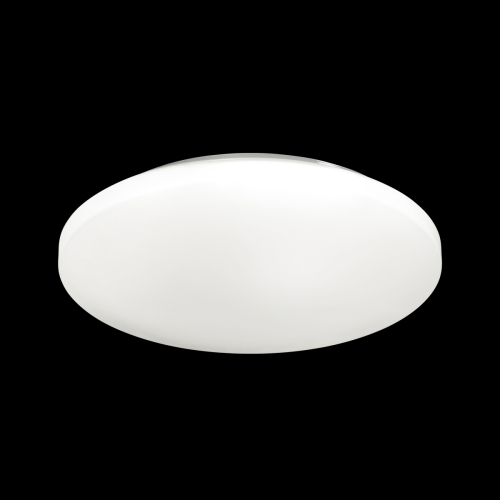 Потолочный светильник Sonex Pale Simple 3017/DLN изображение в интернет-магазине Cramer Light фото 4