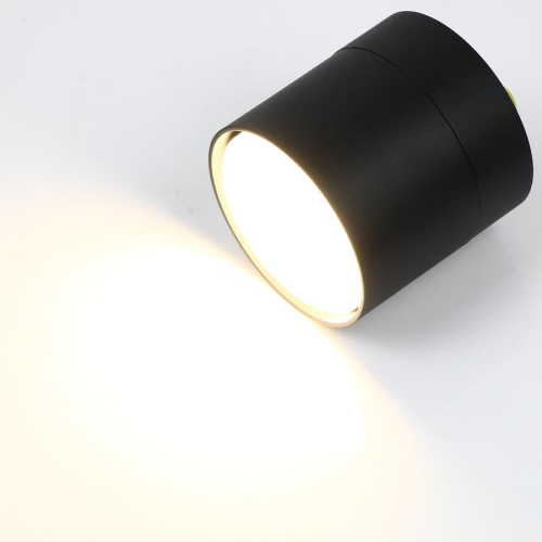 Накладной спот General GWL-GX53-M-IP20 662016 изображение в интернет-магазине Cramer Light