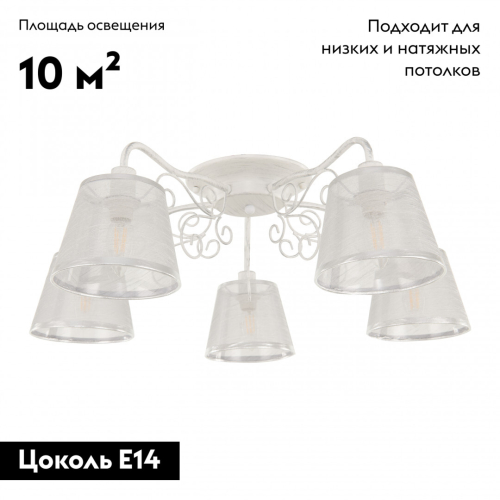 Потолочная люстра Arte Milano 341120/5 WT+SL изображение в интернет-магазине Cramer Light фото 2