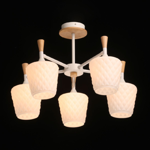 Люстра на штанге De Markt Дэла 635015105 изображение в интернет-магазине Cramer Light фото 2