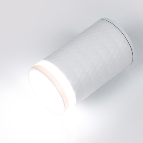 Накладной светильник General GWL-E27-M-IP65 661966 изображение в интернет-магазине Cramer Light